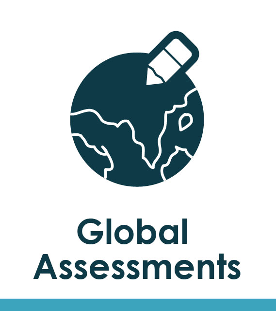 Global Assesment